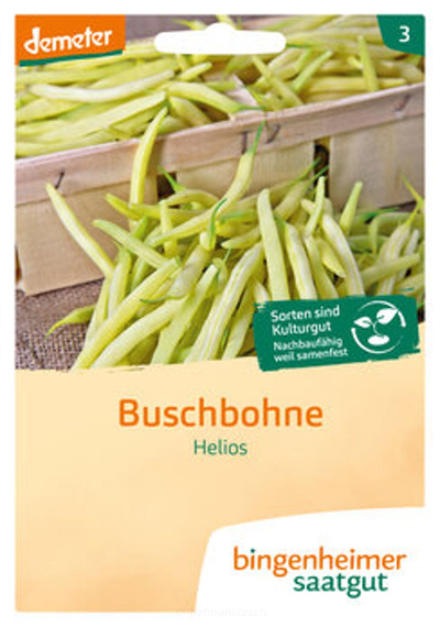 Produktfoto zu Buschbohne Helios gelb