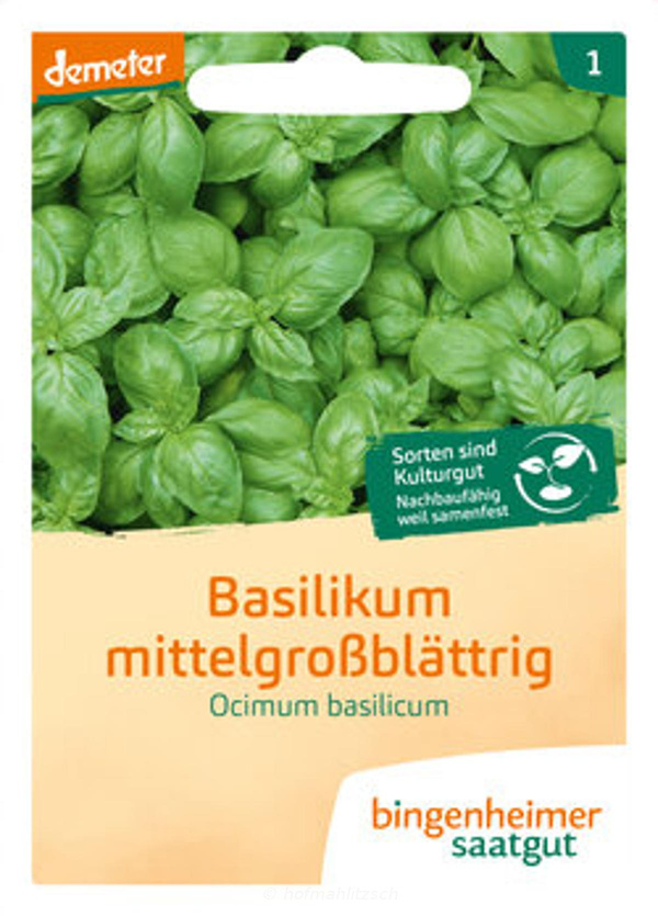 Produktfoto zu Basilikum mittelgroßblättrig