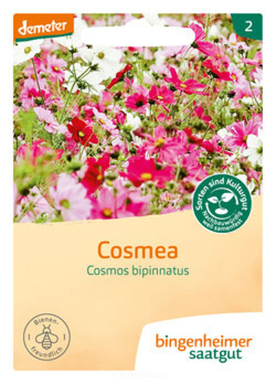 Produktfoto zu Cosmea