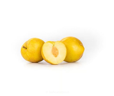 Produktfoto zu Pflaume gelb