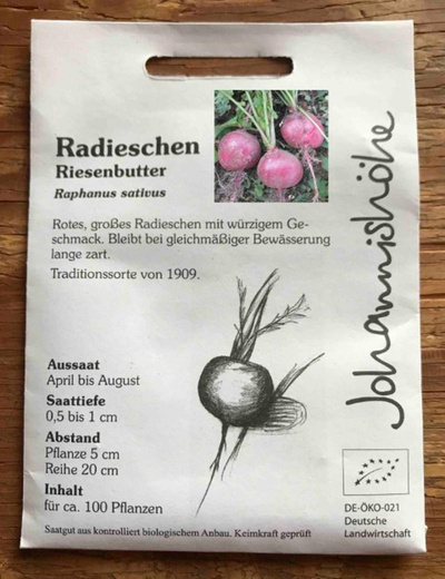 Produktfoto zu Radieschen Riesenbutter