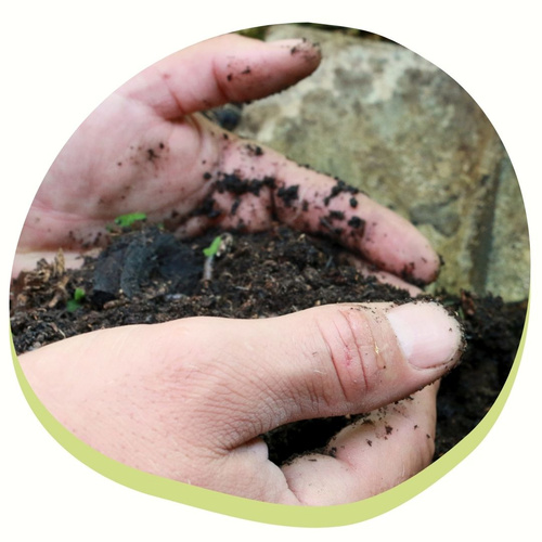 Hände eines Gärtners von Hof Mahlitzsch halten wertvolle Erde.