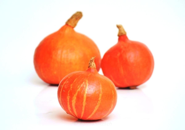 Produktfoto zu Hokkaidokürbis