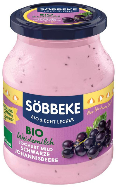 Produktfoto zu Sommerjoghurt Schwarze Johannisbeere
