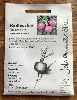 Produktfoto zu Radieschen Riesenbutter