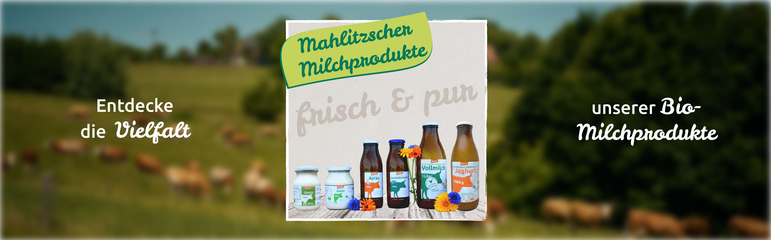 Verschiedene Bio-Milchprodukte der Marke "Hof Mahlitzsch".