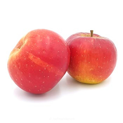 Produktfoto zu Apfel Shampion