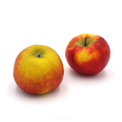 Produktfoto zu Apfel Milwa - Rot mit knackigem Biss und frisch-fruchtigem Geschmack