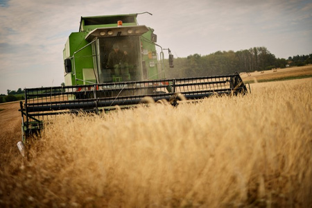 Das Bild zeigt einen grünen Mähdrescher, der ein Feld aberntet.