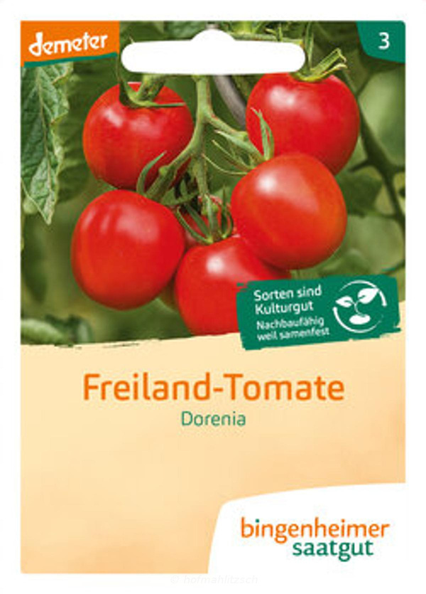 Produktfoto zu Freiland-Tomate Dorenia