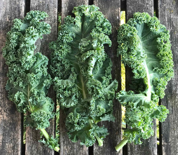 Produktfoto zu Grünkohl