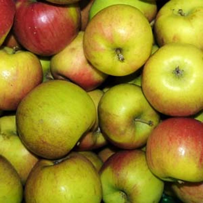 Produktfoto zu Altländer Pfannkuchenapfel