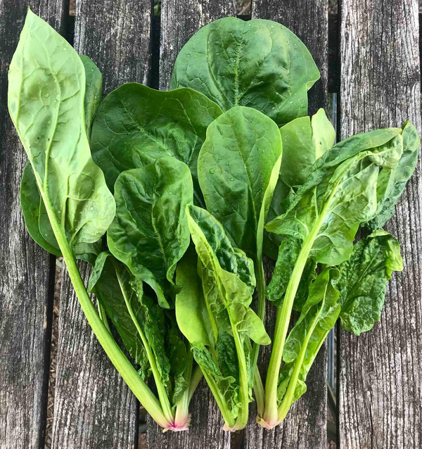 Produktfoto zu Blattspinat