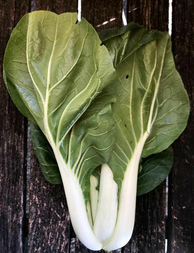 Produktfoto zu Pak Choi