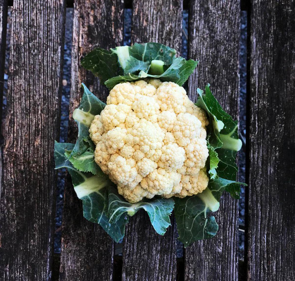 Produktfoto zu Blumenkohl (Mahl.)