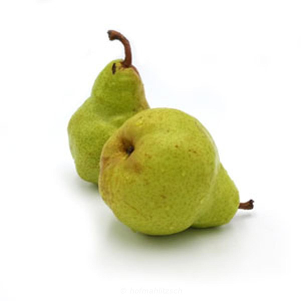 Produktfoto zu Birne Harrow