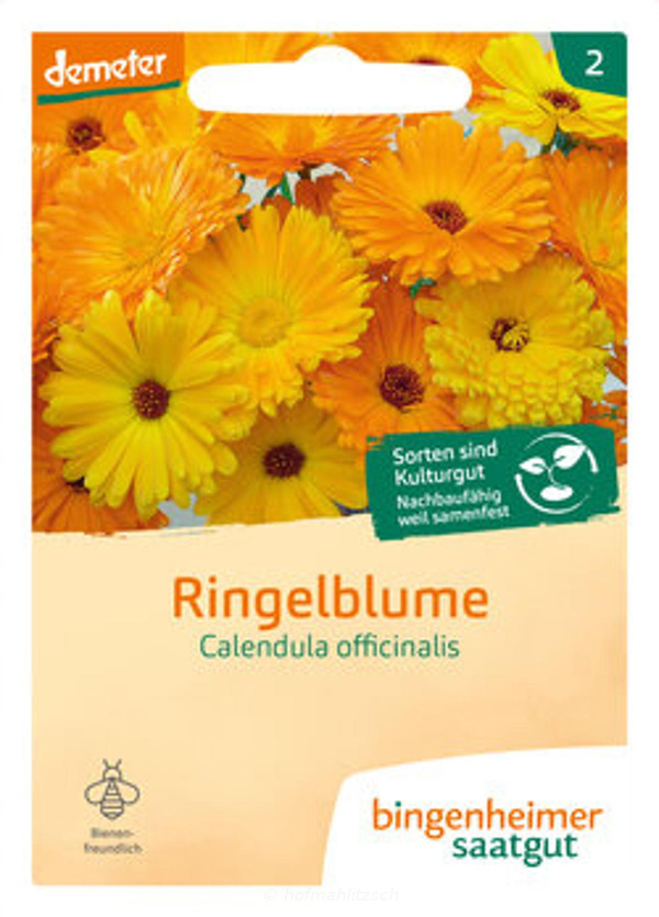 Produktfoto zu Ringelblume Calendula