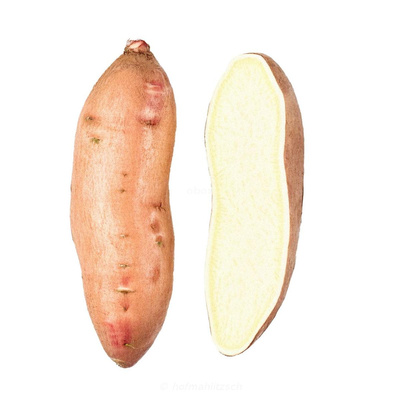 Produktfoto zu Yacón - süße Wurzel, für Salate & Smoothies, roh genießen