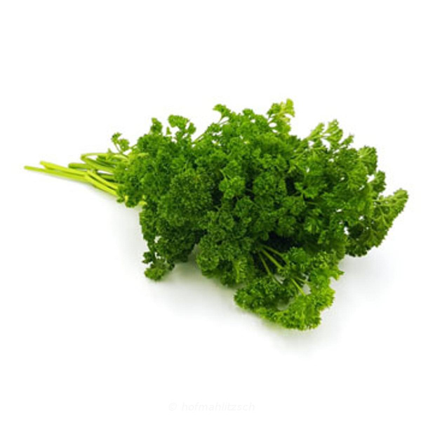 Produktfoto zu Petersilie Bund