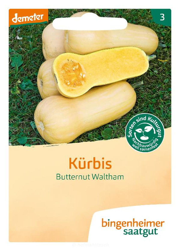 Produktfoto zu Kürbis Butternut