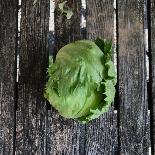 Produktfoto zu Eisbergsalat