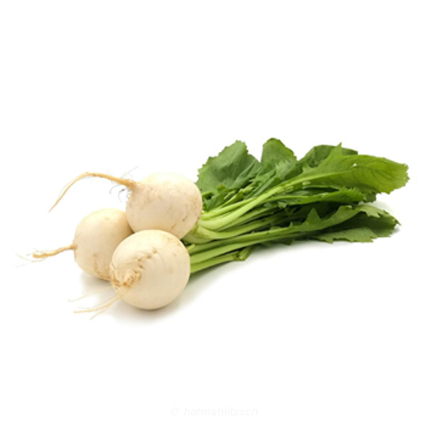 Produktfoto zu Mairübchen weiß Bund