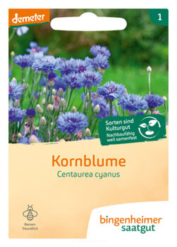 Produktfoto zu Kornblume