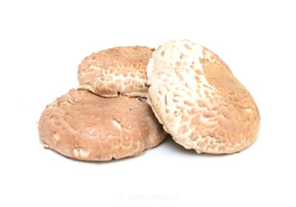 Produktfoto zu Portobello Riesenchampignon