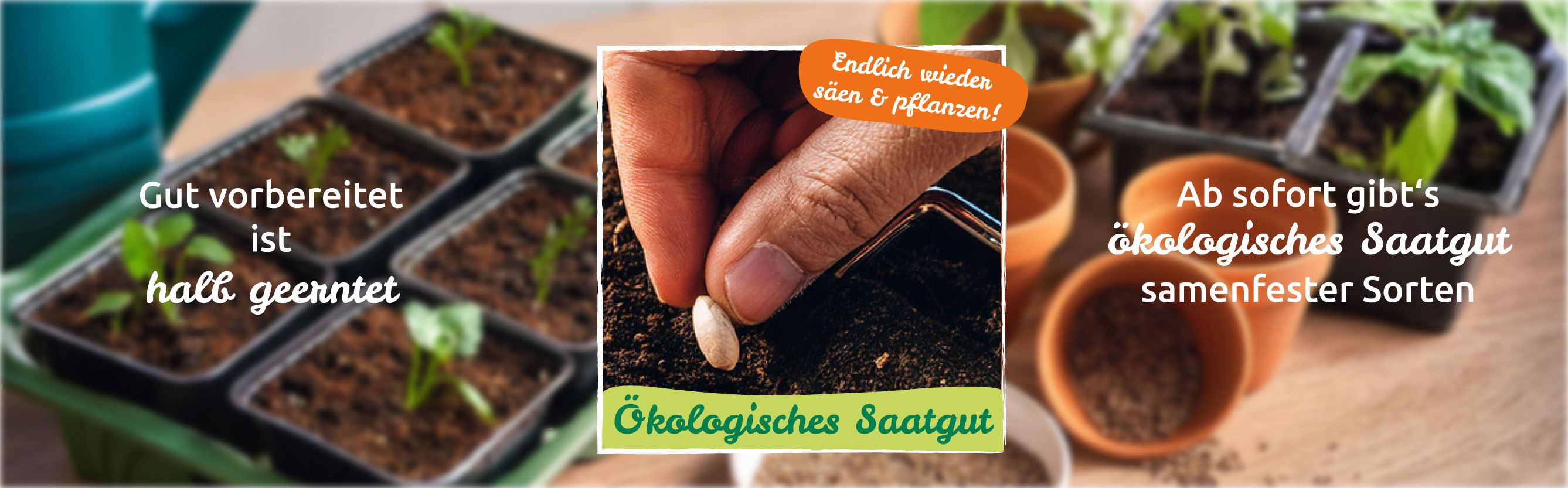 Hand pflanzt Samen in Erde, Text: "Gut vorbereitet ist halb geerntet", "Ökologisches Saatgut samenfester Sorten".