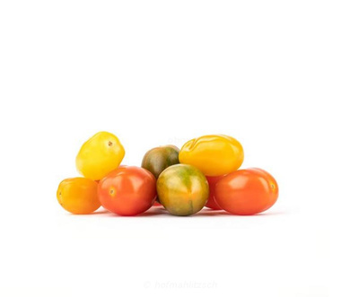 Produktfoto zu Wilde Tomaten Mix - Aromatische Vielfalt von rot bis grün