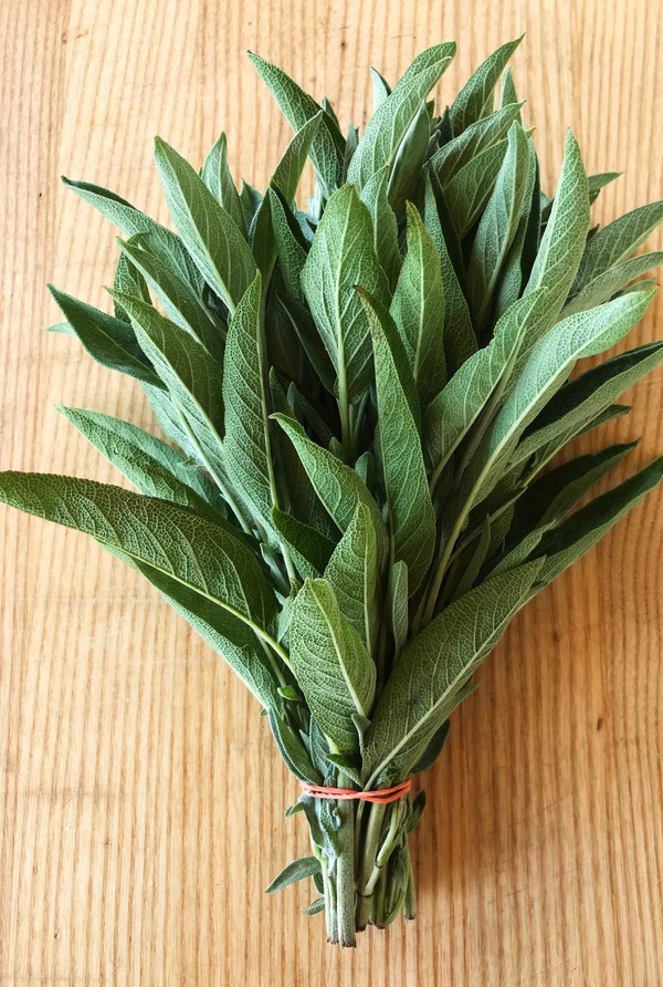 Produktfoto zu Salbei