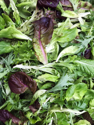 Produktfoto zu Pflücksalat mild
