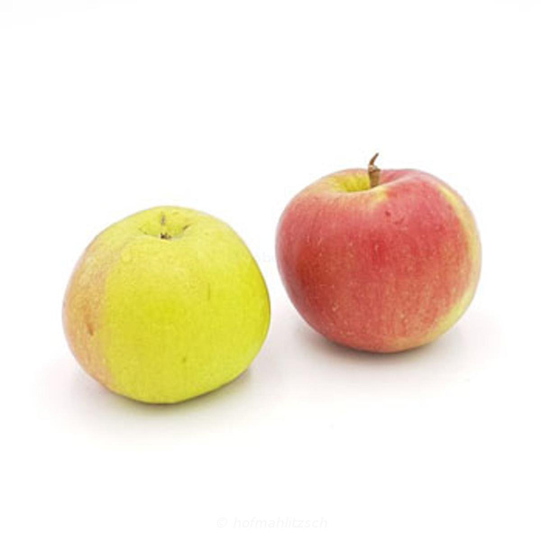 Produktfoto zu Apfel Akane - Frühapfel mit saftig-festem Fleisch & ausbalanciertem Aroma