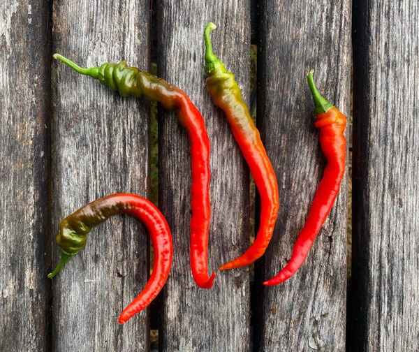 Produktfoto zu Pfefferoni - mild-würziger Snack- & Grillpaprika