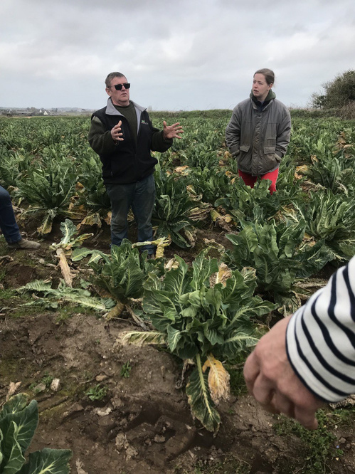 KI generiert: Personen stehen in einem Feld und diskutieren.