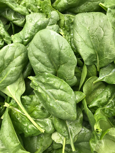 Produktfoto zu Spinat Baby Leaf