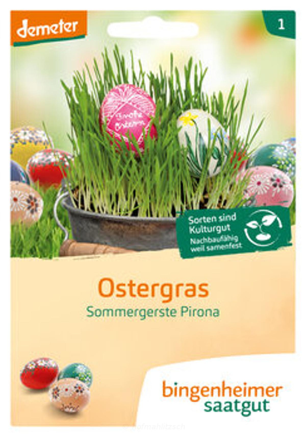 Produktfoto zu Ostergras