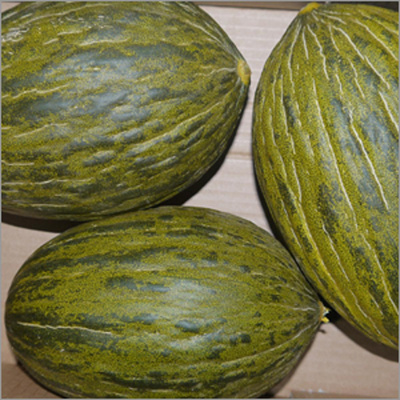 Produktfoto zu Melone Piel de Sapo