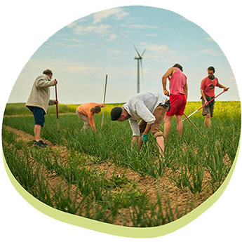 Feldarbeit auf Hof Mahlitzsch