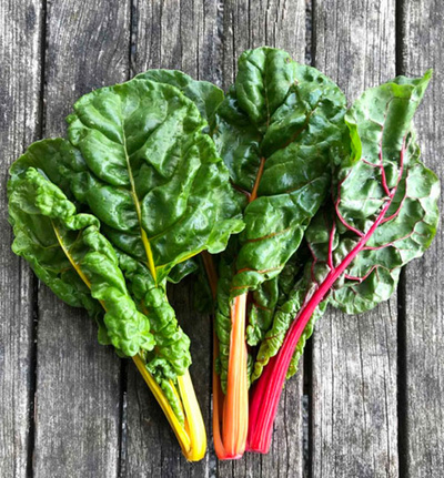 Produktfoto zu Mangold bunt