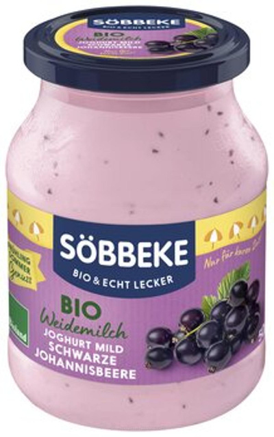 Produktfoto zu Sommerjoghurt Schwarze Johannisbeere