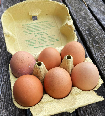 Produktfoto zu 6er Packung Eier