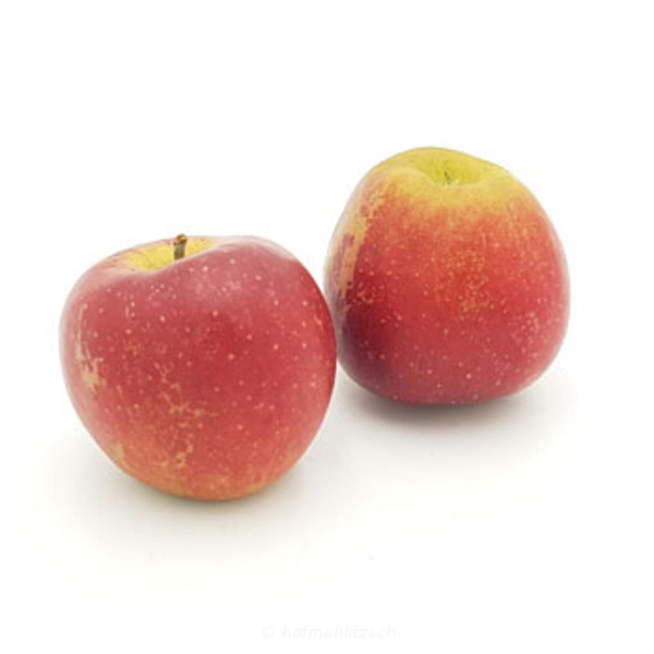 Produktfoto zu Apfel Natyra - leicht säuerlich, saftig,  knackig