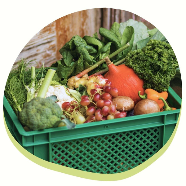 Gesundes Bio-Gemüse vom Feld und langjährigen Partnern