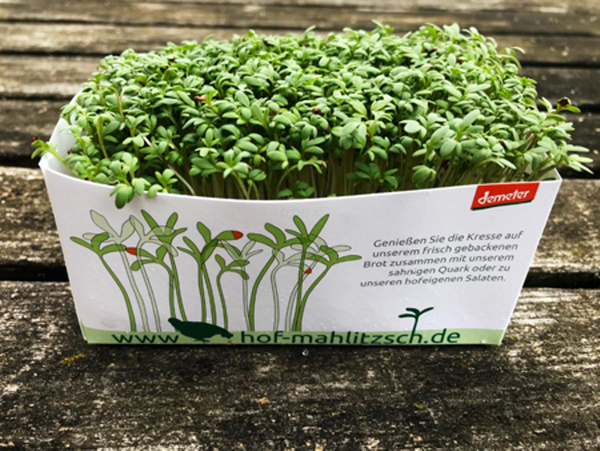 Produktfoto zu Rucola Kresse