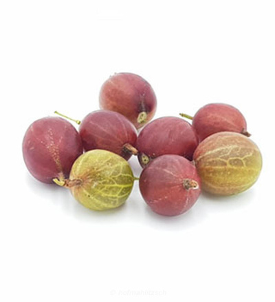 Produktfoto zu Stachelbeeren