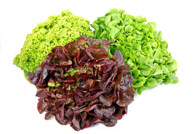 Produktfoto zu Salat