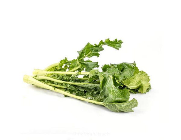 Produktfoto zu Cima di Rapa - Stängelkohl