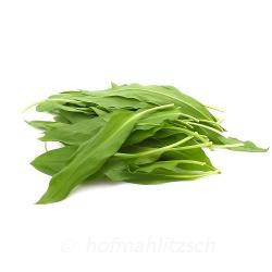 Produktfoto zu Bärlauch Bund