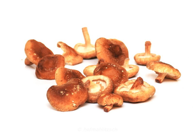 Produktfoto zu Shiitakepilz - aromatischer Würzpilz & ideale Suppeneinlage für Ramen & Co.